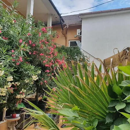 Affittacamere Casa Day&amy